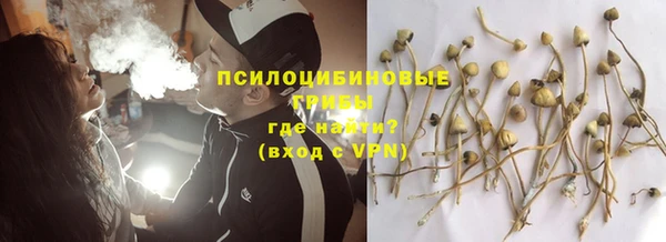MDMA Premium VHQ Гвардейск