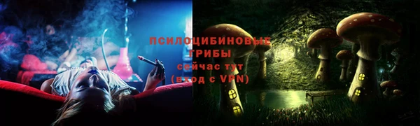 ECSTASY Пролетарск
