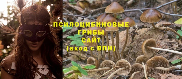 прущий лед Ростов