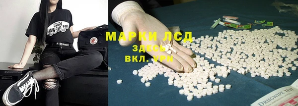 сатива Протвино